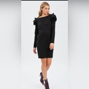 Pietro Brunelli Maternity Long Sleeve Dress